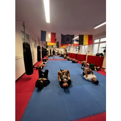 Sac de Frappe Pro Line Budofight - 3