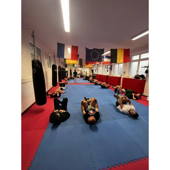 Sac de Frappe Pro Line Budofight