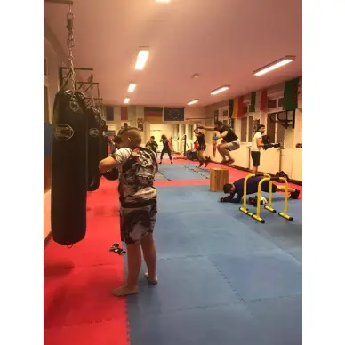 Sac de Frappe Pro Line Budofight - 4