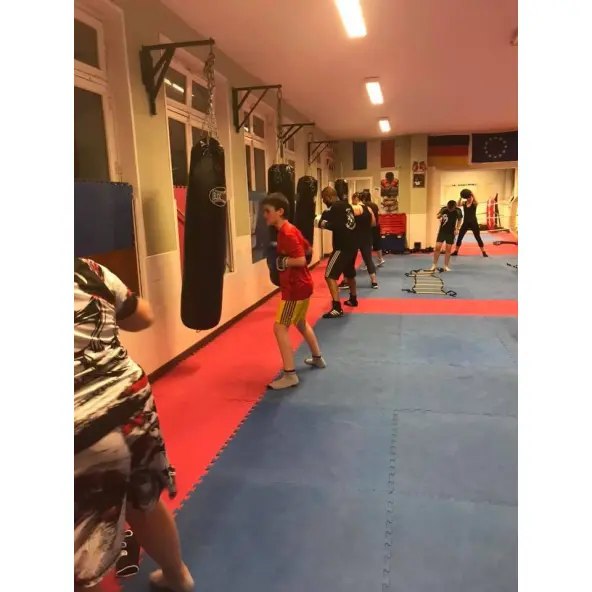 Sac de Frappe Pro Line Budofight