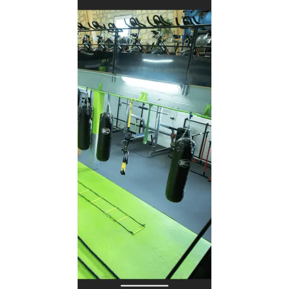 Sac de Frappe Pro Line Budofight