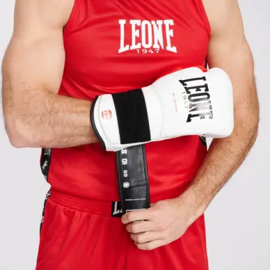 Gants de Boxe Leone Il Tecnico 3