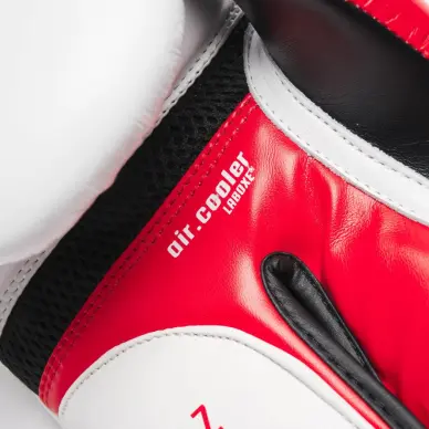 Gants de Boxe Leone Il Tecnico 3 - 3
