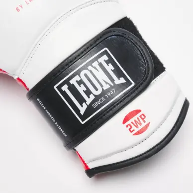 Gants de Boxe Leone Il Tecnico 3 - 4