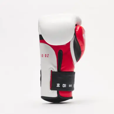 Gants de Boxe Leone Il Tecnico 3 - 6