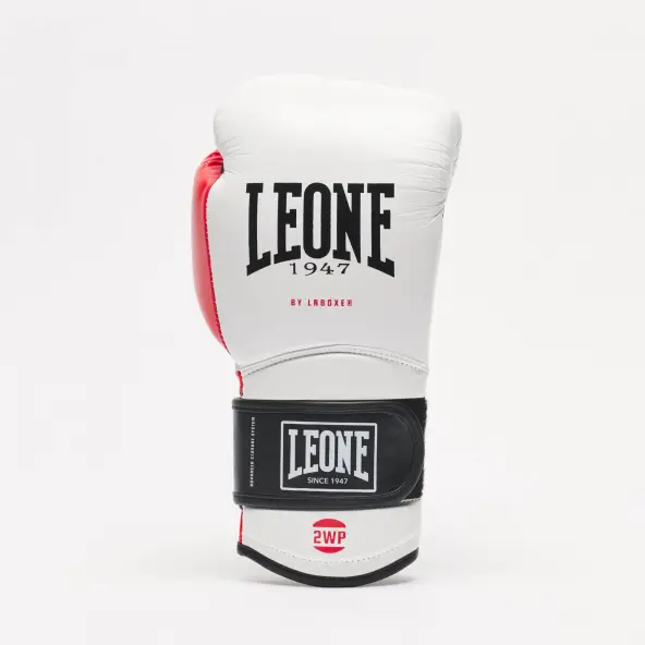 Gants de Boxe Leone Il Tecnico 3