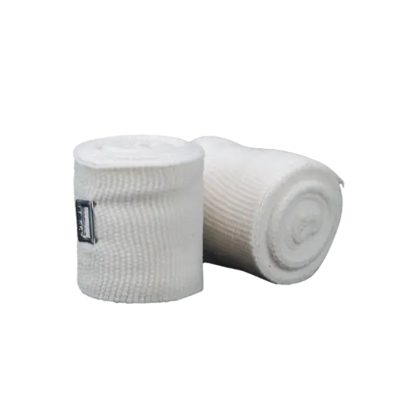 Bandes Mexicaines Cleto Reyes