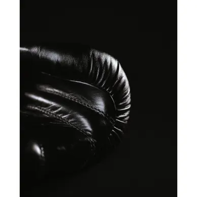 Gants de Boxe Omega 100% Cuir - 2