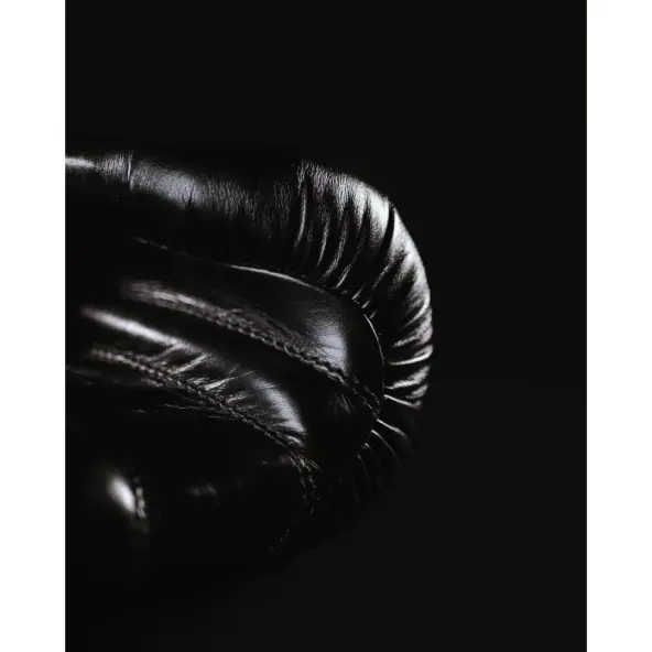 Gants de Boxe Omega 100% Cuir