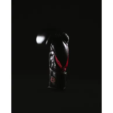 Gants de Boxe Omega 100% Cuir - 3