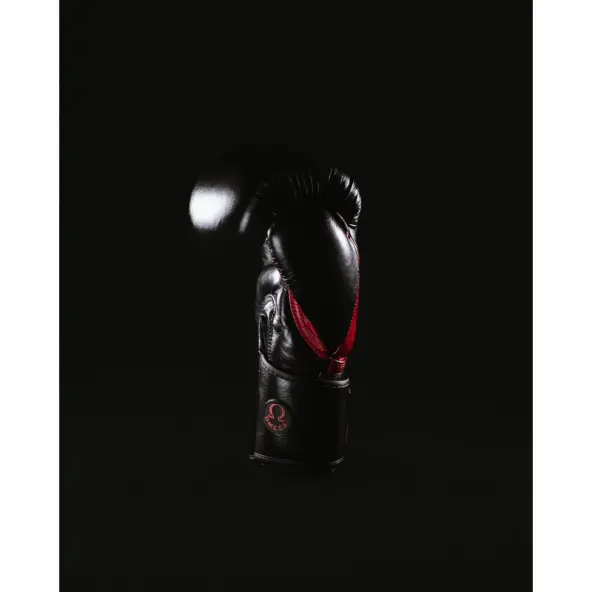 Gants de Boxe Omega 100% Cuir