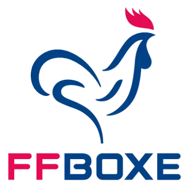 Casque de Boxe compétition Pro FFBOXE - 10