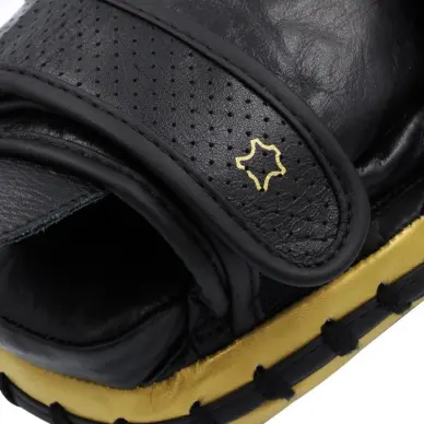 Pattes d'ours de Boxe Adistar Pro - 3