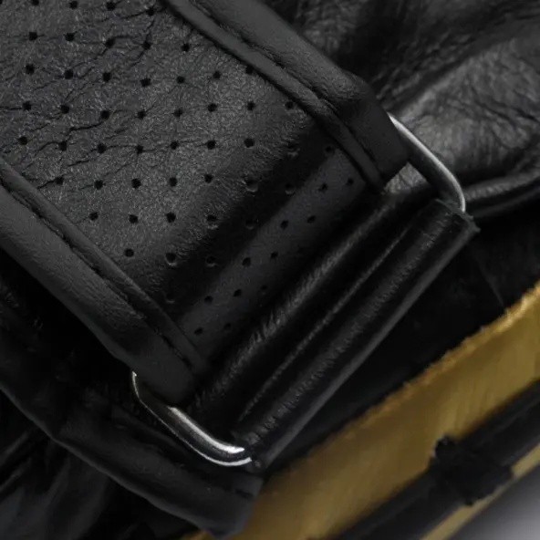 Pattes d'ours de Boxe Adistar Pro