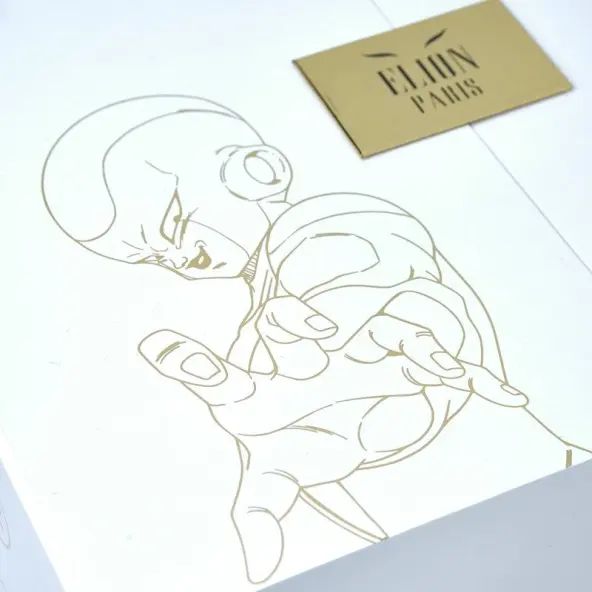 Gants de Boxe Dragon Ball Z Frieza