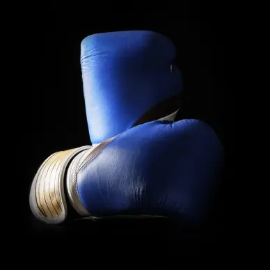 Gants de Boxe Dragon Ball Z Vegeta - 12