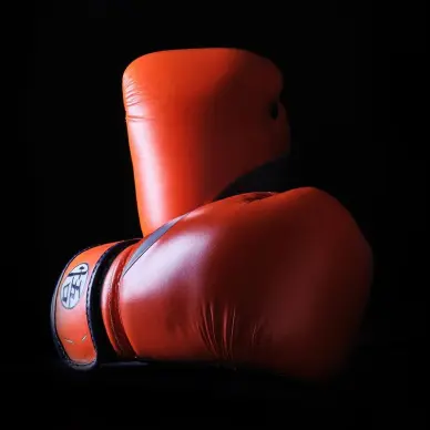 Gants de Boxe Dragon Ball Z Goku - 15