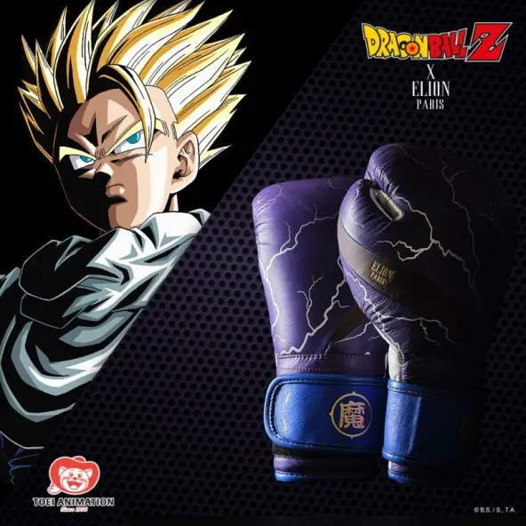 Gants de Boxe Dragon Ball Z Gohan