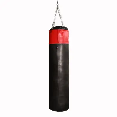 Sac de Frappe Pro Line Budofight - 14