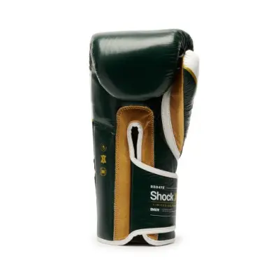 Gants de Boxe Leone Shock X Vert - 2