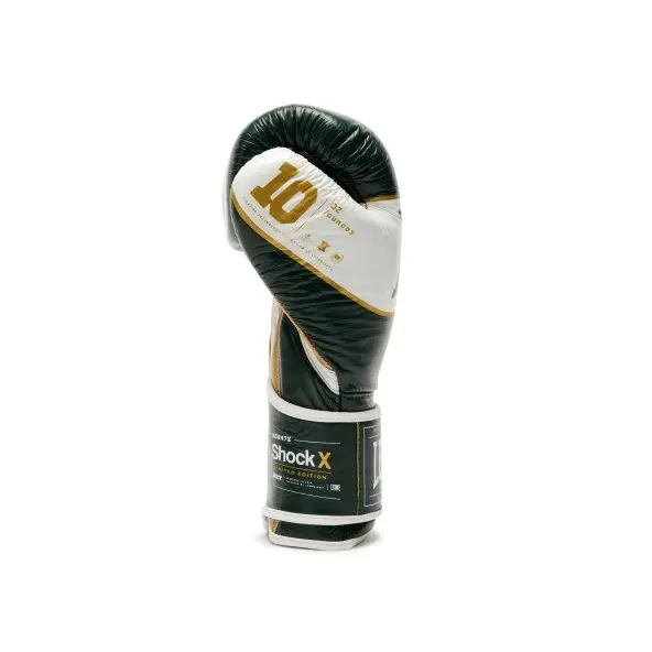 Gants de Boxe Leone Shock X Vert