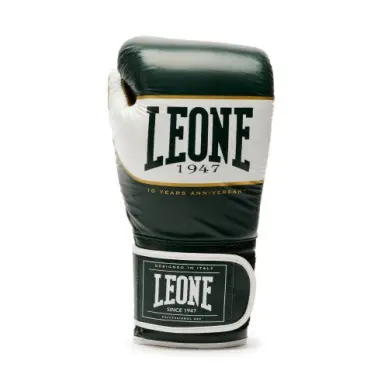 Gants de Boxe Leone Shock X Vert - 4