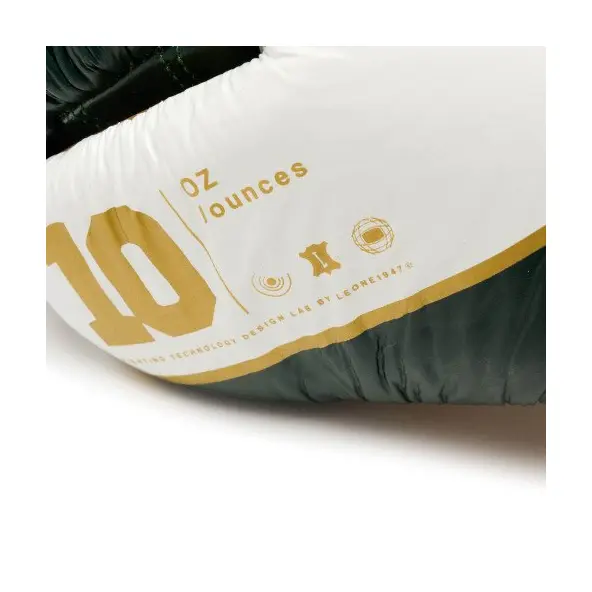 Gants de Boxe Leone Shock X Vert