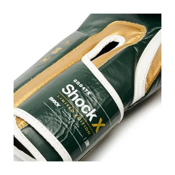 Gants de Boxe Leone Shock X Vert