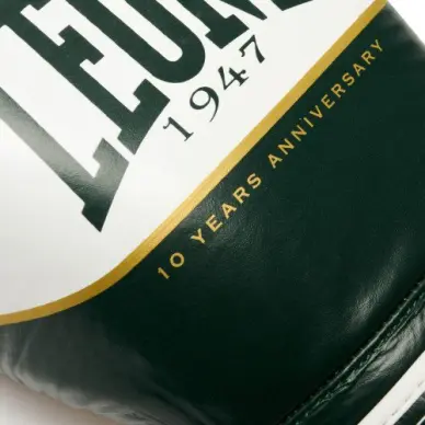 Gants de Boxe Leone Shock X Vert - 7