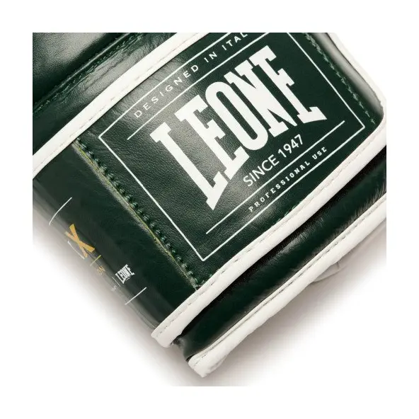 Gants de Boxe Leone Shock X Vert