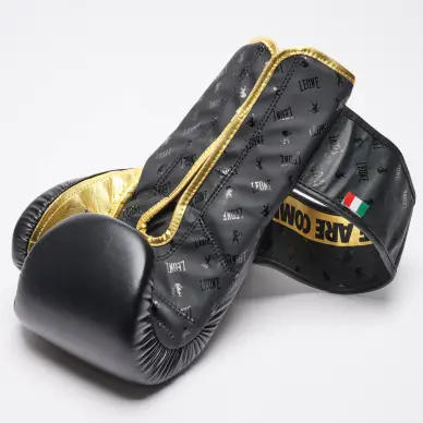 Gants de Boxe Leone DNA 100% Cuir - 6