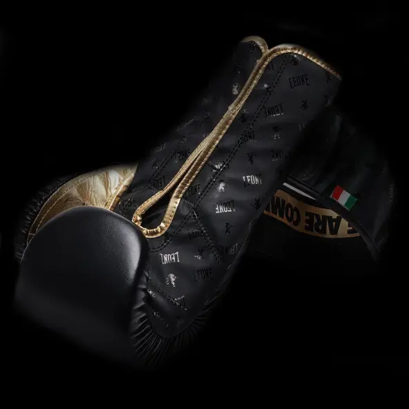 Gants de Boxe Leone DNA 100% Cuir