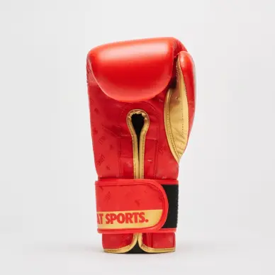 Gants de Boxe Leone DNA 100% Cuir - 11