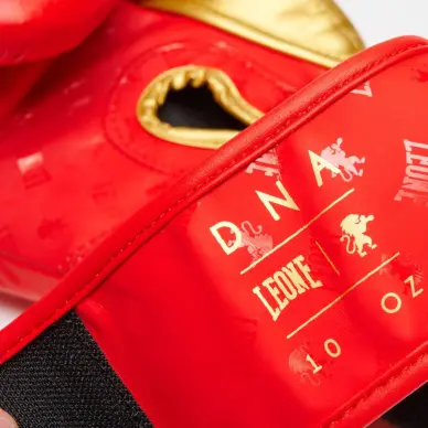Gants de Boxe Leone DNA 100% Cuir - 12
