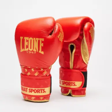 Gants de Boxe Leone DNA 100% Cuir - 13