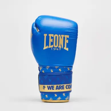 Gants de Boxe Leone DNA 100% Cuir - 14