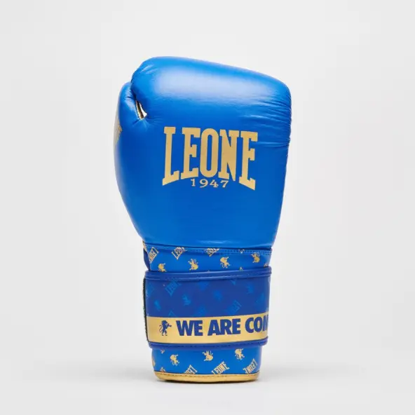 Gants de Boxe Leone DNA 100% Cuir