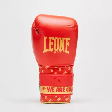 Gants de Boxe Leone DNA 100% Cuir - 15