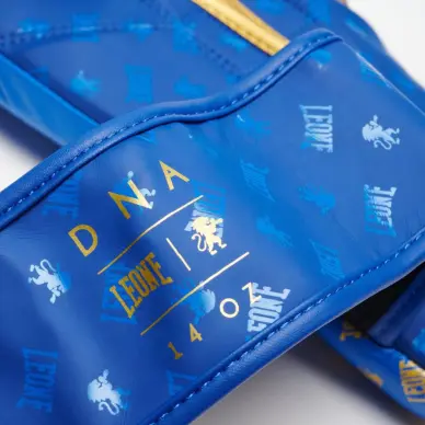 Gants de Boxe Leone DNA 100% Cuir - 18