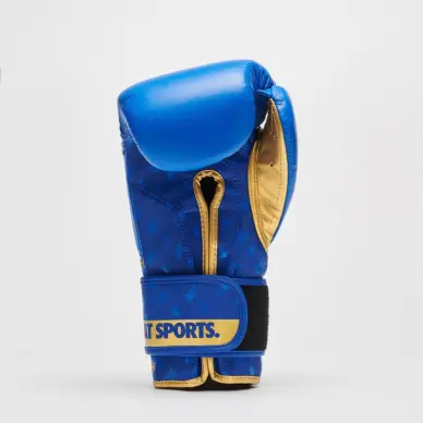Gants de Boxe Leone DNA 100% Cuir - 19
