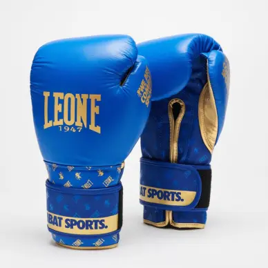 Gants de Boxe Leone DNA 100% Cuir - 21