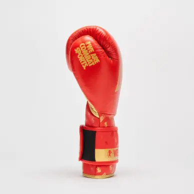 Gants de Boxe Leone DNA 100% Cuir - 22