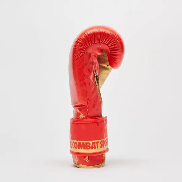 Gants de Boxe Leone DNA 100% Cuir