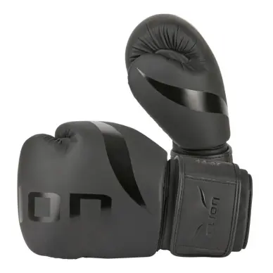 Gants de Boxe Entraînement Elion Extravagant - 13