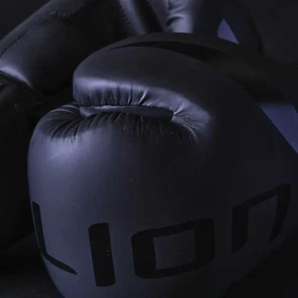 Gants de Boxe Entraînement Elion Extravagant