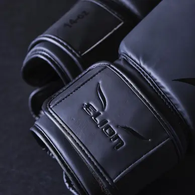 Gants de Boxe Entraînement Elion Extravagant - 18