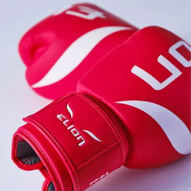Gants de Boxe Entraînement Elion Extravagant - 19
