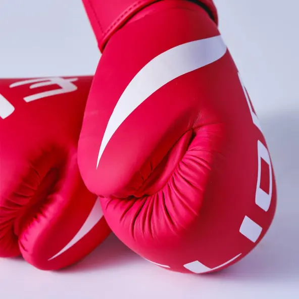 Gants de Boxe Entraînement Elion Extravagant