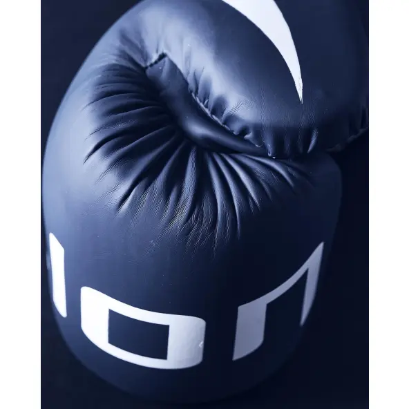 Gants de Boxe Entraînement Elion Extravagant