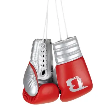 Gants de Boxe à Lacets Booster BFG RS - 15